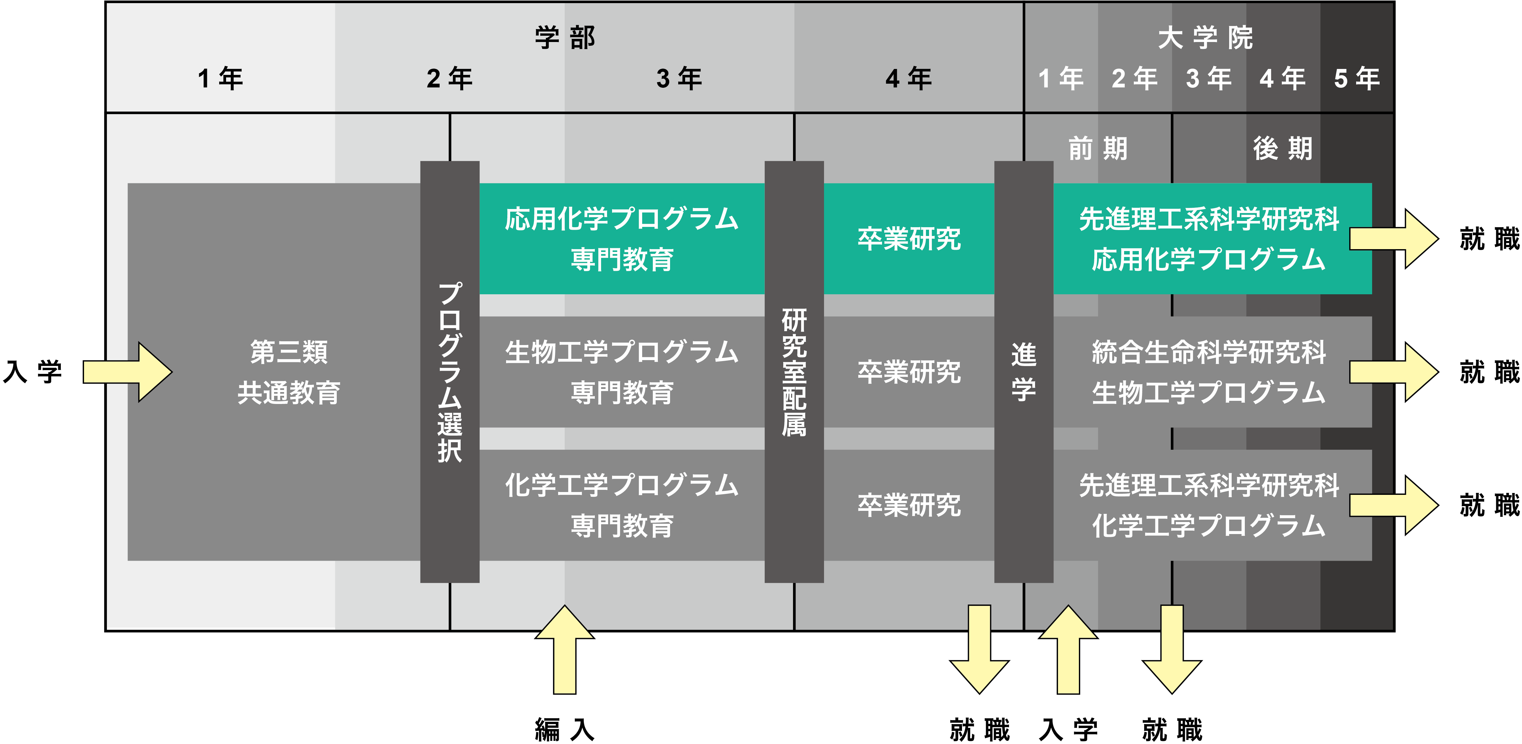 第三類のカリキュラム