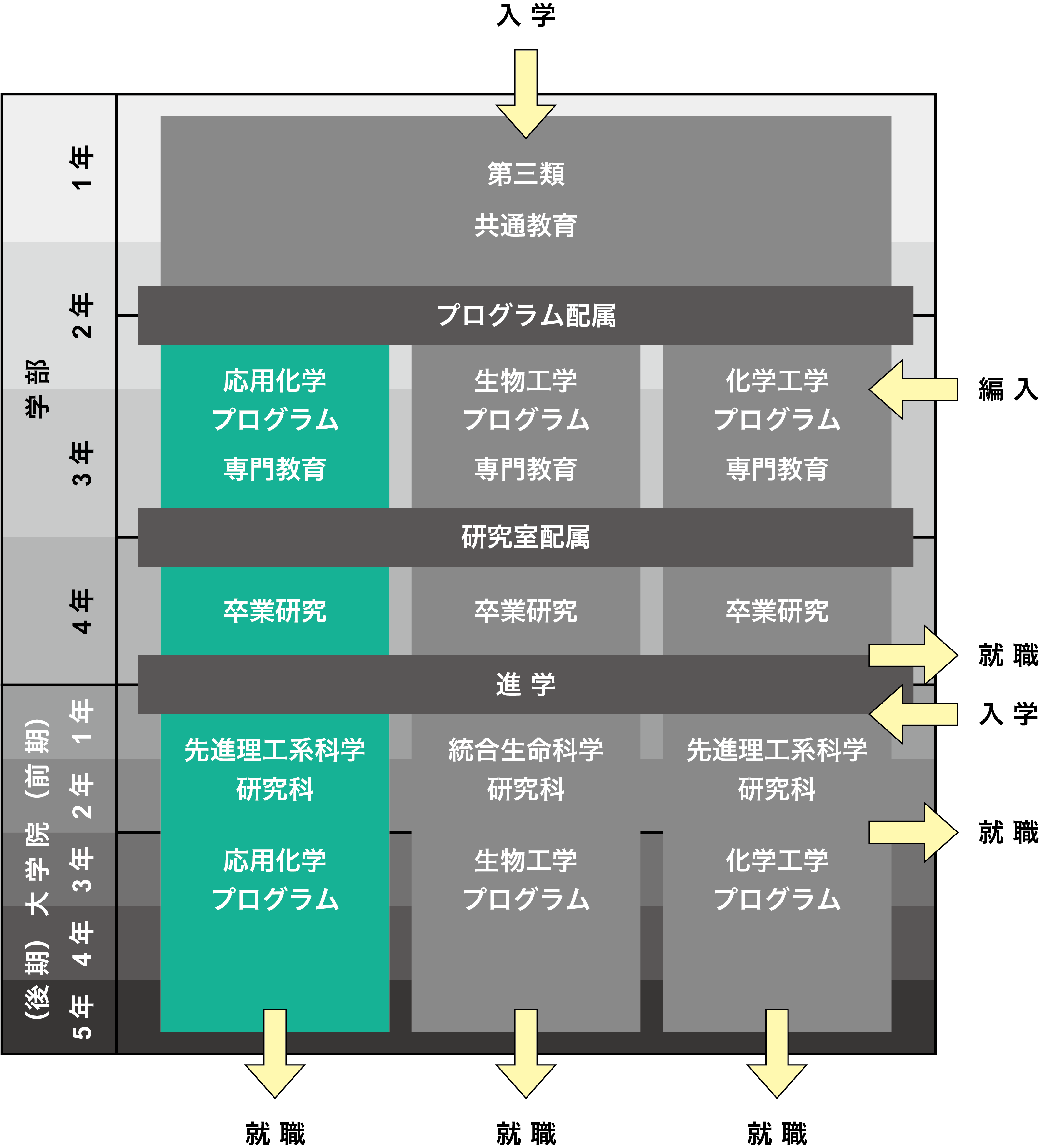 第三類のカリキュラム